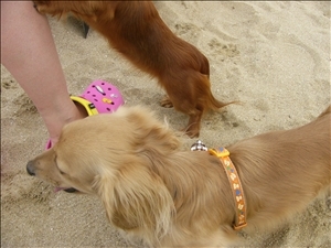 �摜���X�g_25