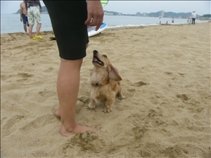 �摜���X�g_26