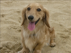 �摜���X�g_27