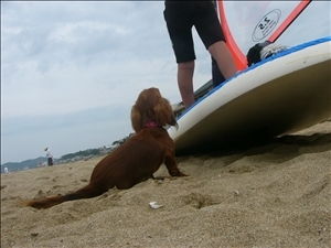 �摜���X�g_28