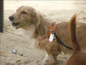 �摜���X�g_60