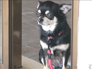 �摜���X�g_62